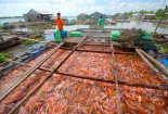 Tạo bước chuyển về năng suất, chất lượng tại Đồng Tháp